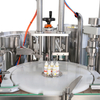 Single Head Vacuum Bottling Machine for Sauces